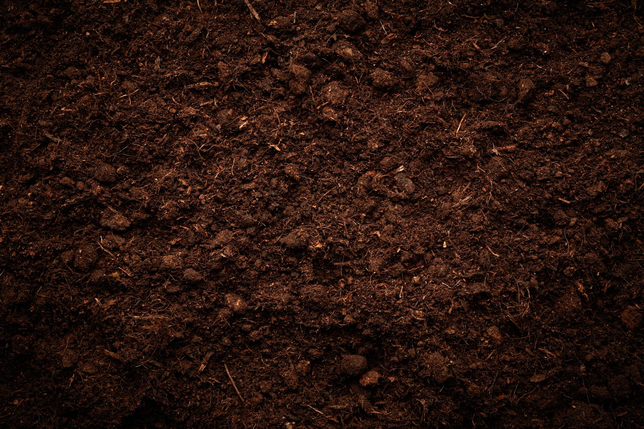 Beyond la terre